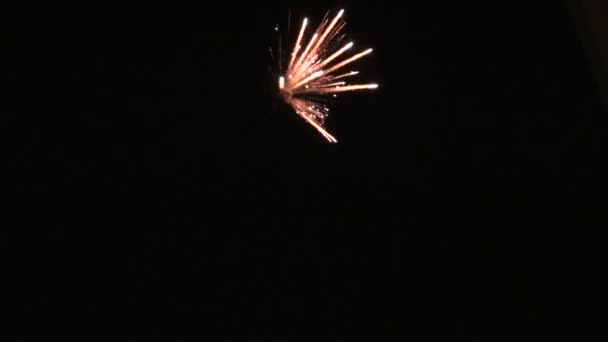 Fogos de artifício — Vídeo de Stock