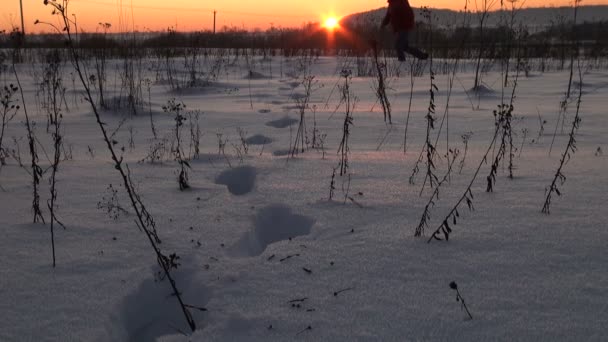 雪中的步骤 — 图库视频影像