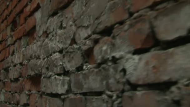 A velha parede de tijolo — Vídeo de Stock