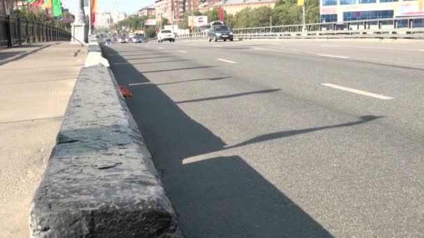 Corriente de coches en una carretera de la ciudad — Vídeo de stock