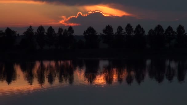 Réflexion des arbres dans l'eau — Video