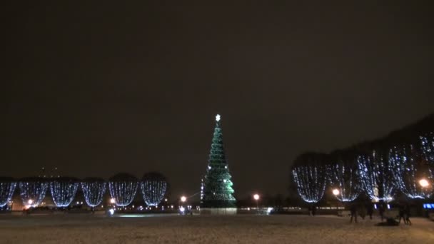 新年的树 — 图库视频影像