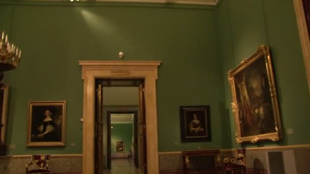在博物馆的走廊 — 图库视频影像