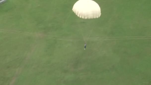 Parachutistes dans l'air — Video