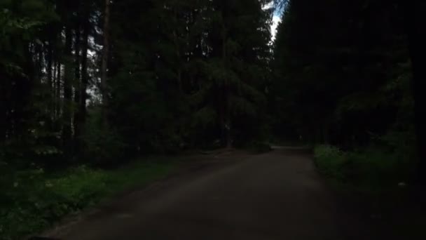 Деревини дороги — стокове відео