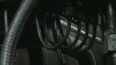 Hortum, gövde çizgiler ve tüpleri intertwining