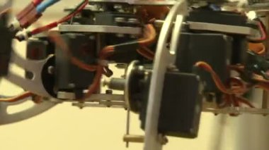 örümcek robot