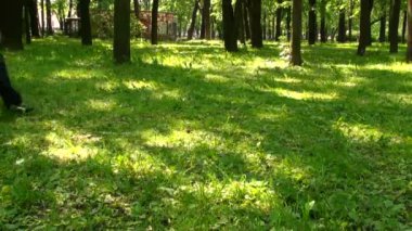 çimenlerin üzerinde çalışan