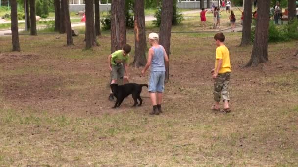 Los niños juegan con un perro — Vídeos de Stock