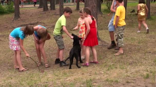 Children play with a dog — Stock Video