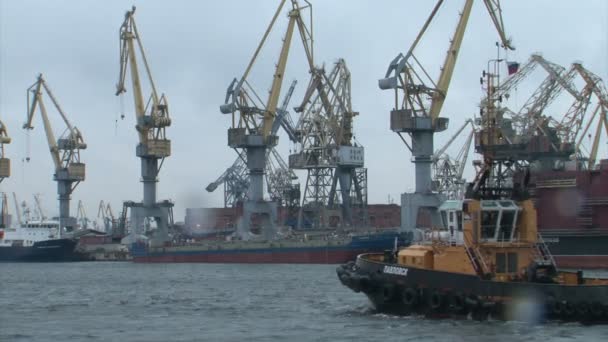 Bogserbåt flottar på floden. — Stockvideo