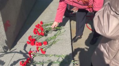 Granit üzerine kırmızı karanfiller
