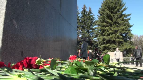 Red carnations on the granite — Stock Video