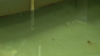 kaldırma kuvveti mahkemelerin çalışma için el kitabı.