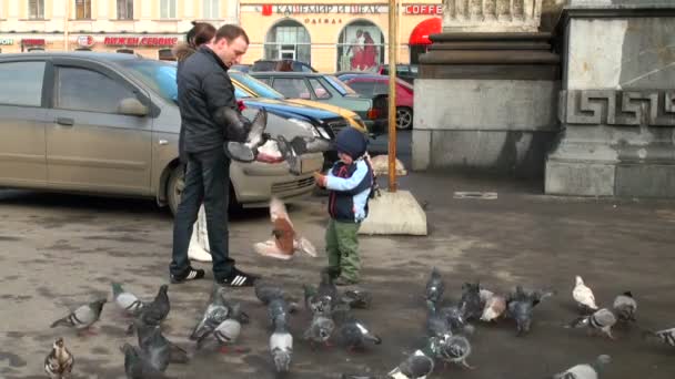 Семья кормит голубей — стоковое видео