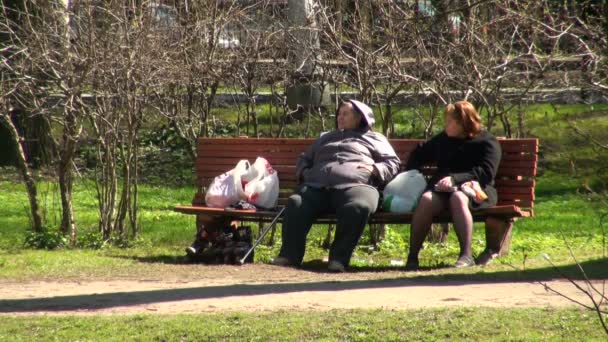 Mujeres gordas en el banquillo — Vídeo de stock