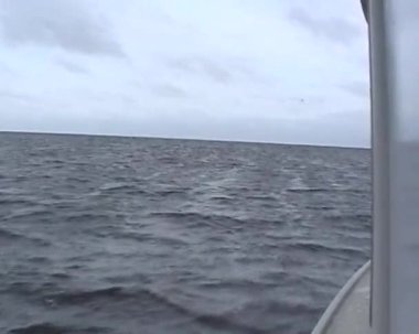 ladoga Gölü üzerinde tekne