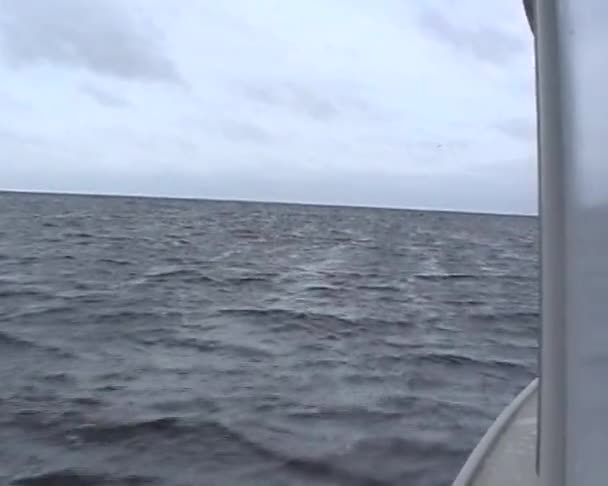 Barca sul Lago Ladoga — Video Stock