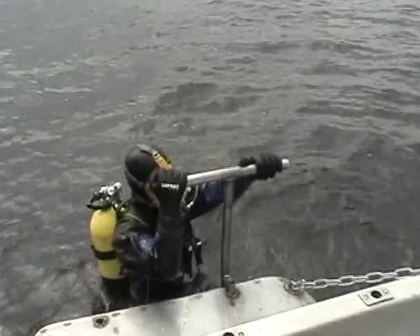 Skin-diver plunges under water — Stock Video