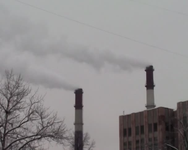 Smoke from the chimney — Stock Video