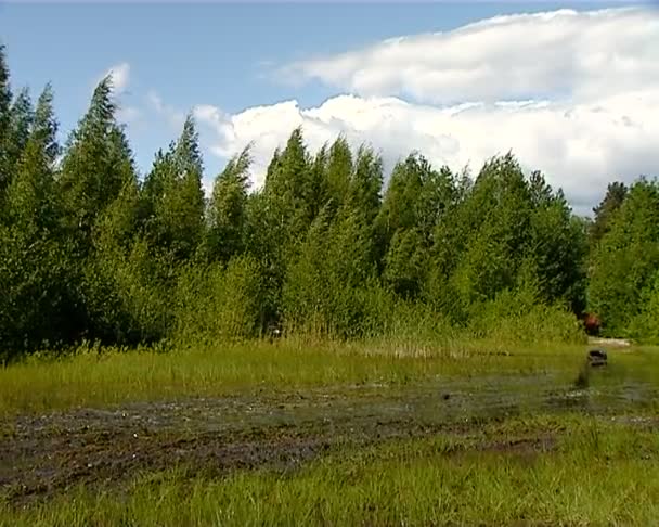 Kilpajuoksu jeepillä — kuvapankkivideo