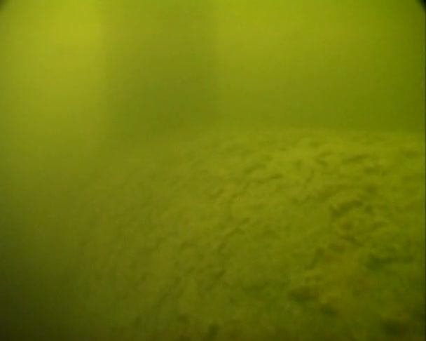 Schiff unter Wasser gesunken — Stockvideo