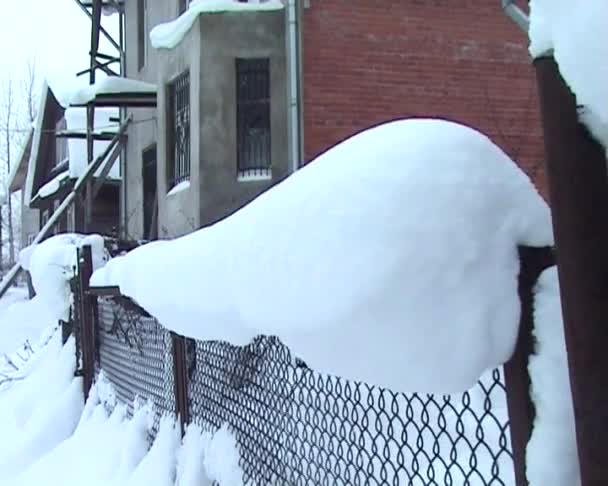 Nieve cayendo — Vídeos de Stock