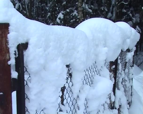 Nieve cayendo — Vídeos de Stock