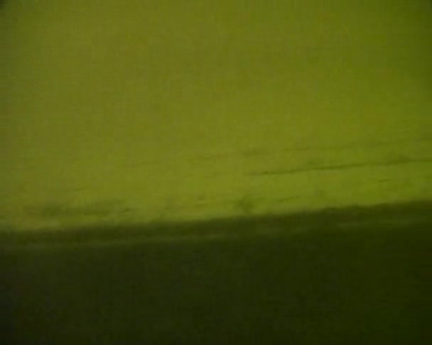 라도가 호수에 침 몰 한 자동차 — 비디오
