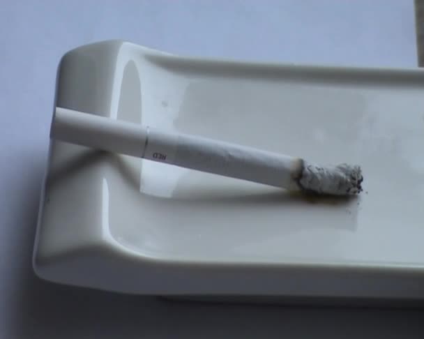Bir kül tablası içinde çürüyen Sigaralı — Stok video