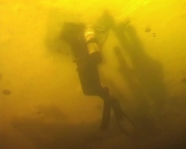 El buceador se sumerge bajo el agua — Vídeo de stock