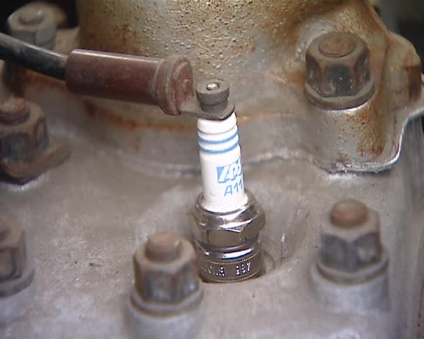 Compartiment moteur, fragment de système de refroidissement 