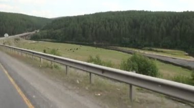 Tahta yol