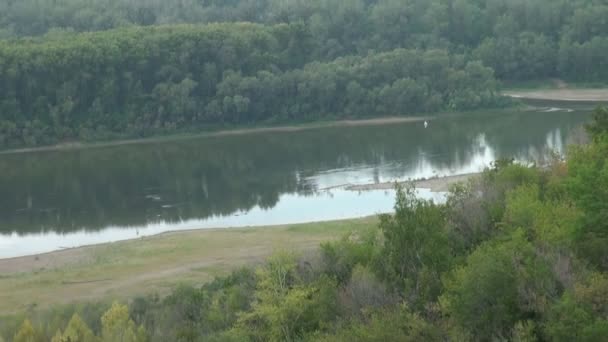 Vue vidéo de la forêt et du lac — Video