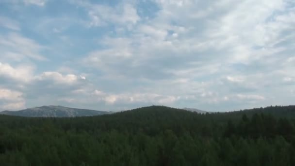 Un viaje en coche por la carretera cerca del bosque — Vídeo de stock