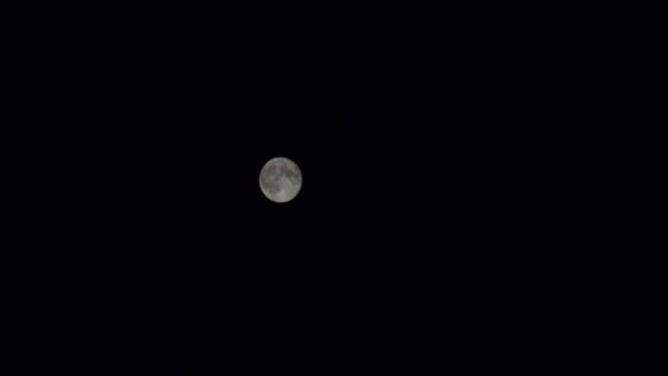 Luna en el cielo nocturno — Vídeos de Stock