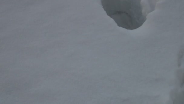 雪中的步骤 — 图库视频影像