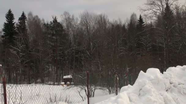 Maison en hiver — Video