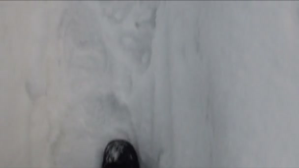 Видео человеческие шаги на снегу — стоковое видео