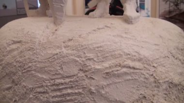 Rusya rurick kurucusu için anıtları modelleri