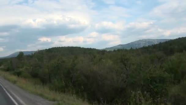 Podróż samochodem na drodze w pobliżu lasu — Wideo stockowe