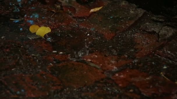 溶かされた水の滴 — ストック動画