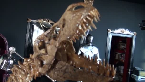 The skeleton of lizard — Stock Video