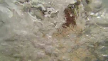 Kaynama ve köpüren su