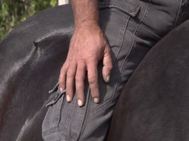 adam siyah at okşayarak