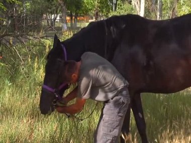 adam atın dizgin düzeltir