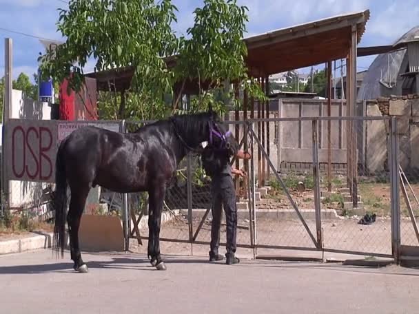 Een man met een paard opent de poort — Stockvideo