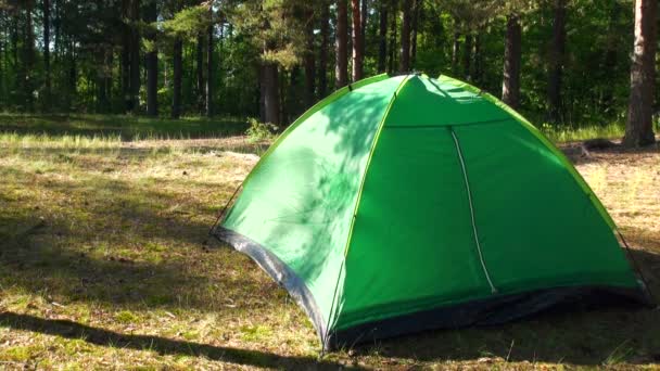 Ein grünes Zelt auf der Natur — Stockvideo