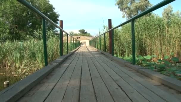 Ponte de madeira e lagoa com lírios — Vídeo de Stock