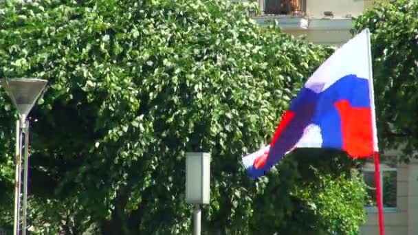 Bandeira vermelho-branca com uma cruz azul — Vídeo de Stock